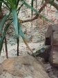 IMG_20230320_095741