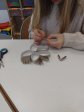 IMG_20231204_103428441