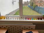 IMG-0561