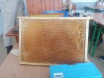 IMG_20240520_120547