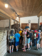 IMG-0894