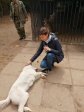 IMG-20220527-114329
