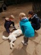 IMG-20220527-114336
