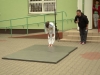 Dzień Dziecka - Dzień Sportu