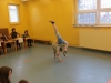 Mam talent