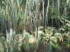 Palmiarnia 3c