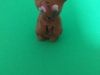 20191126_110403