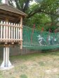 IMG_20220517_121051918