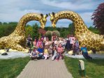 IMG_20220517_131623
