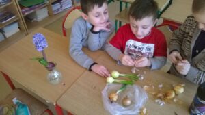 Projekt „Mali Tropiciele Przyrody”